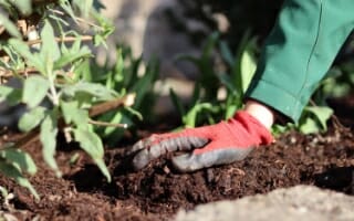 Teaser Gaertner Gartenpflege