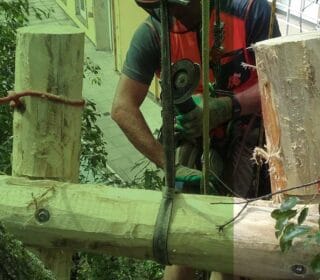 Baumschutz auf Baustellen