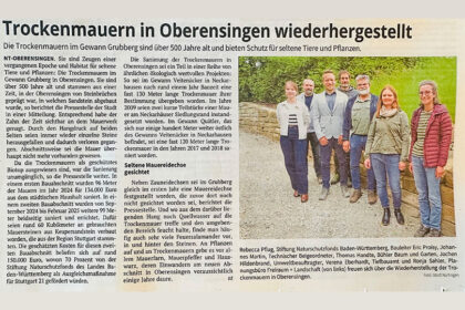 https://baum-und-garten.de/wp-content/uploads/2025/06/trockenmauer-beitragsbild-420x280.jpg