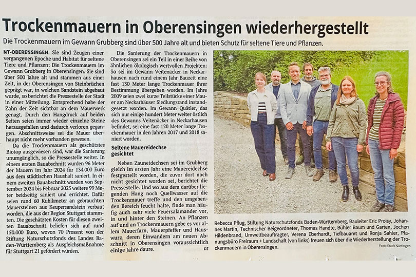 Trockenmauer Beitragsbild