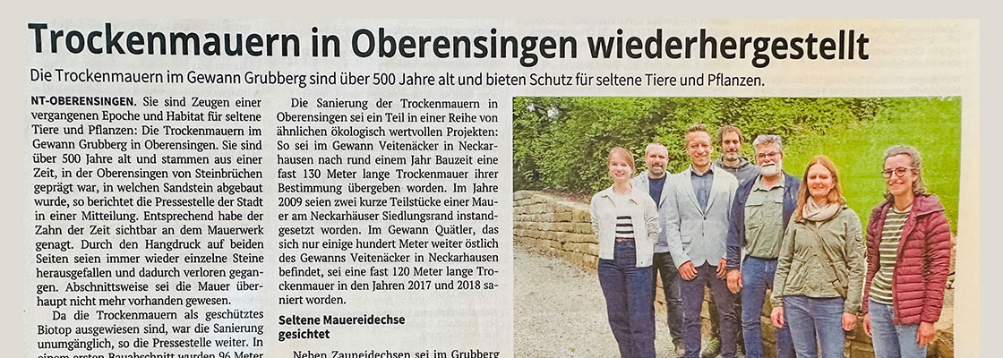 https://baum-und-garten.de/wp-content/uploads/2025/06/trockenmauer-header.jpg