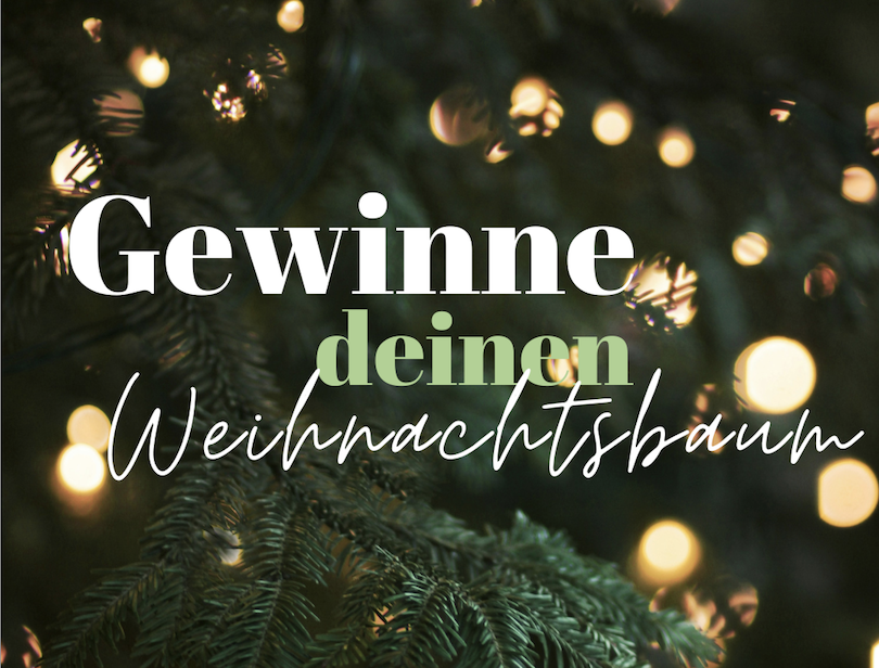 Bühler Gewinnpiel Inhalt