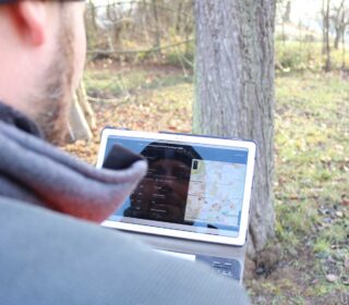 Visuelle Baumkontrolle