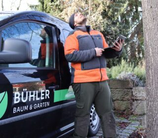 Visuelle Baumkontrolle