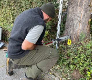 Bohrwiderstandsmessung