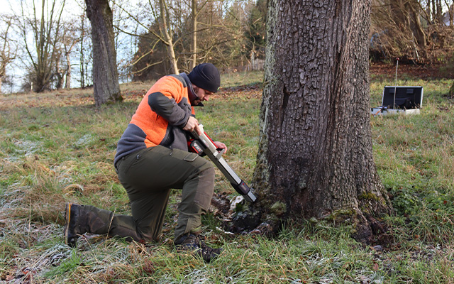 Buehler Baumkontrolleur Teaser